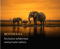 botswana.png