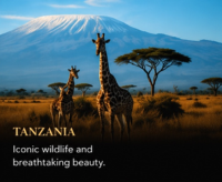 tanzania.png