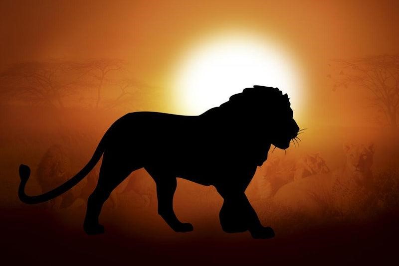uganda perfectlion king