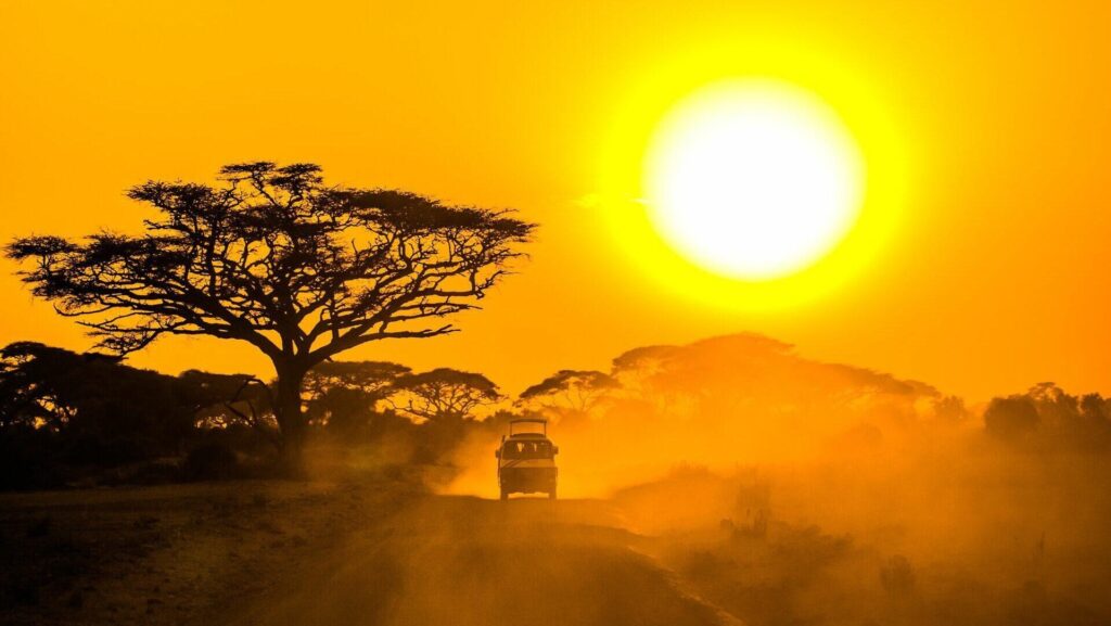uganda safari sundet
